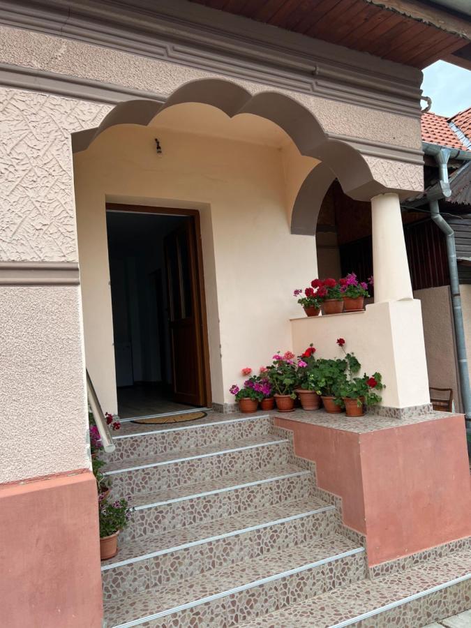 Вілла Casa Andrei Кирцишоара Екстер'єр фото