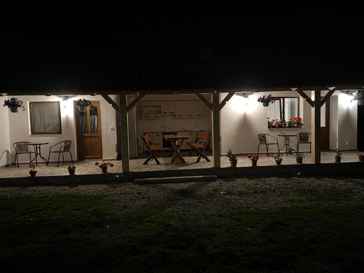 Вілла Casa Andrei Кирцишоара Екстер'єр фото